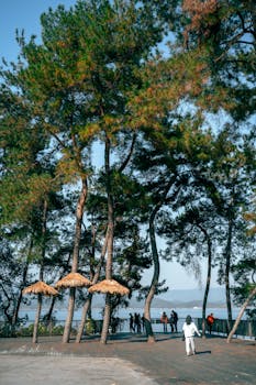  人工智能驱动网络威胁激增；地缘政治冲突延伸数字战场。 IT技术 人工智能驱动网络威胁激增；地缘政治冲突延伸数字战场。 IT技术