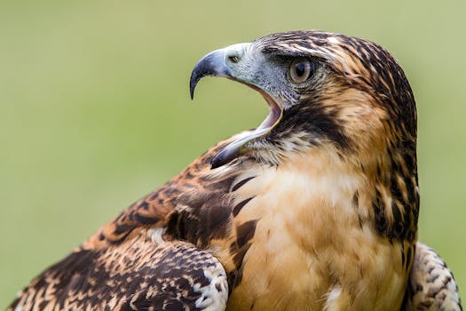  主业转型遇挑战；大为股份寄望定增提升存储竞争力。 股票财经 主业转型遇挑战；大为股份寄望定增提升存储竞争力。 股票财经