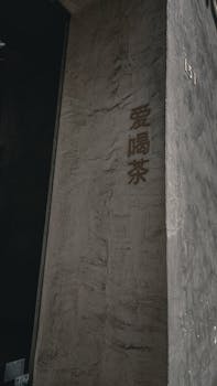 高效能决策：新能源汽车的市场渗透逻辑 IT技术