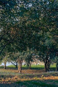 南昌青春经济：从政策蓝图到产业闭环的技术落地路径 IT技术