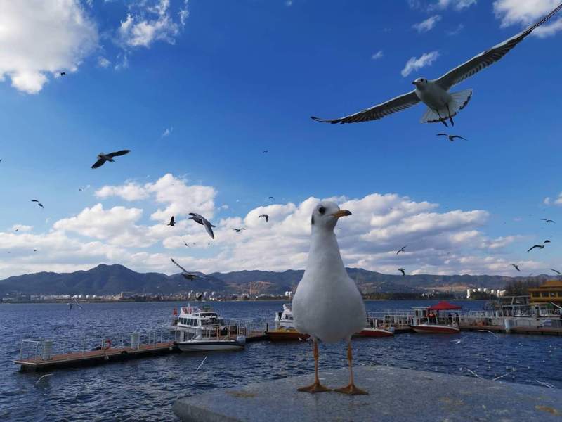 从高校到中小学：春假制度化的深层逻辑与全国推广路径 教育招生