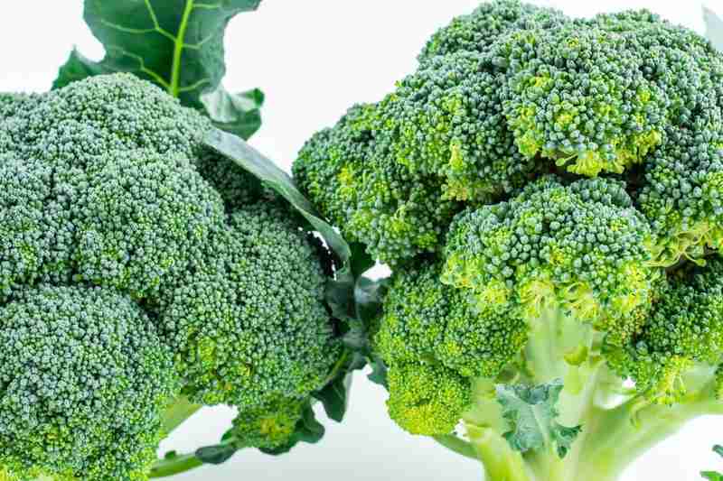  代谢自噬视角：轻断食如何实现肝脏脂肪精准调控的技术解密 健康养生