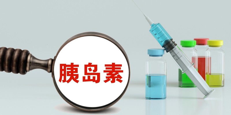  代谢自噬视角：轻断食如何实现肝脏脂肪精准调控的技术解密 健康养生