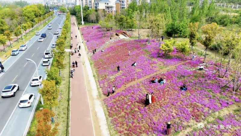  白龟湖露营经济产业解构：滨水生态如何转化为持久消费动能 新闻 白龟湖露营经济产业解构：滨水生态如何转化为持久消费动能 新闻