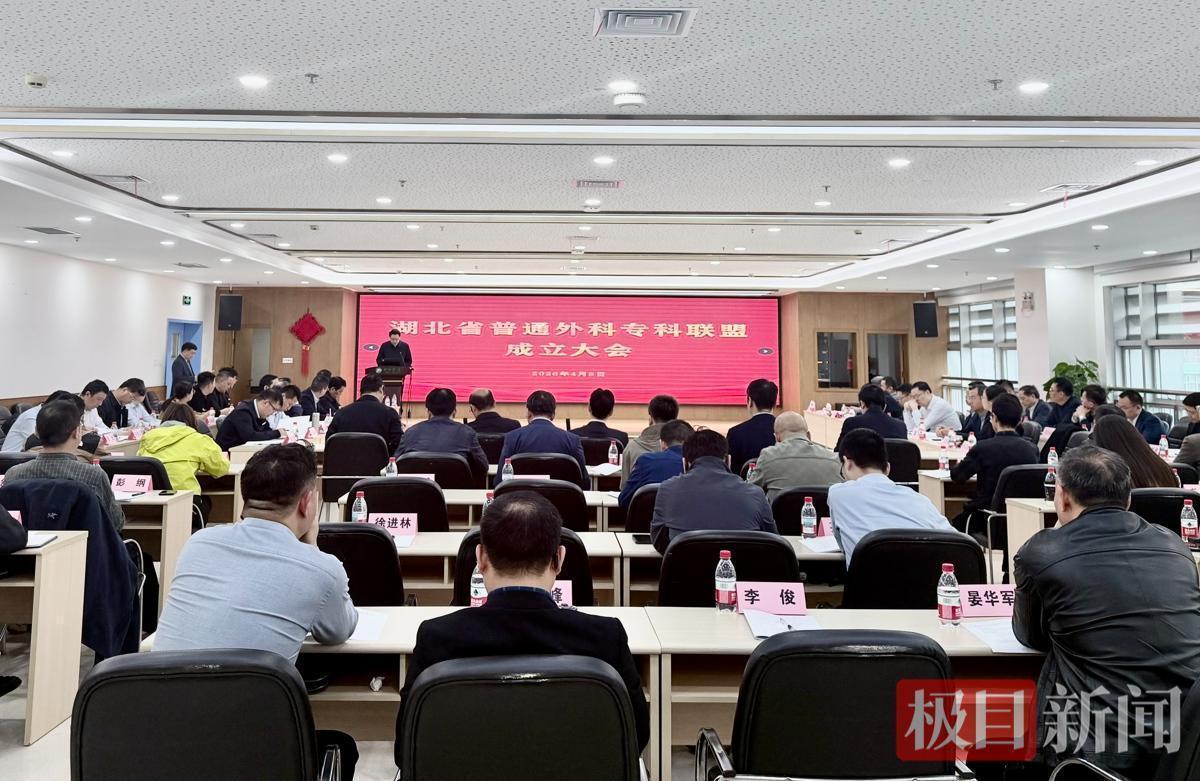 湖北省普通外科专科联盟成立：技术架构深度解析与未来蓝图 新闻