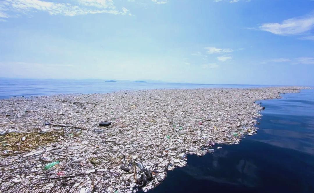  10909米深海之底的科学警示：塑料微粒污染的完整链条与应对路径 新闻