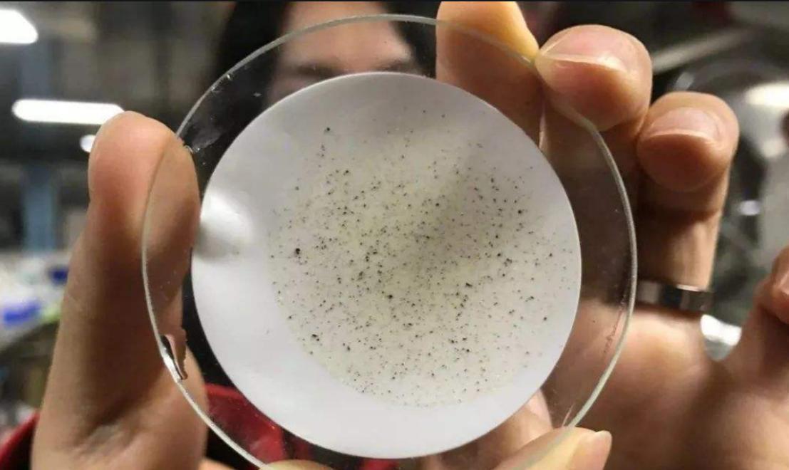  10909米深海之底的科学警示：塑料微粒污染的完整链条与应对路径 新闻