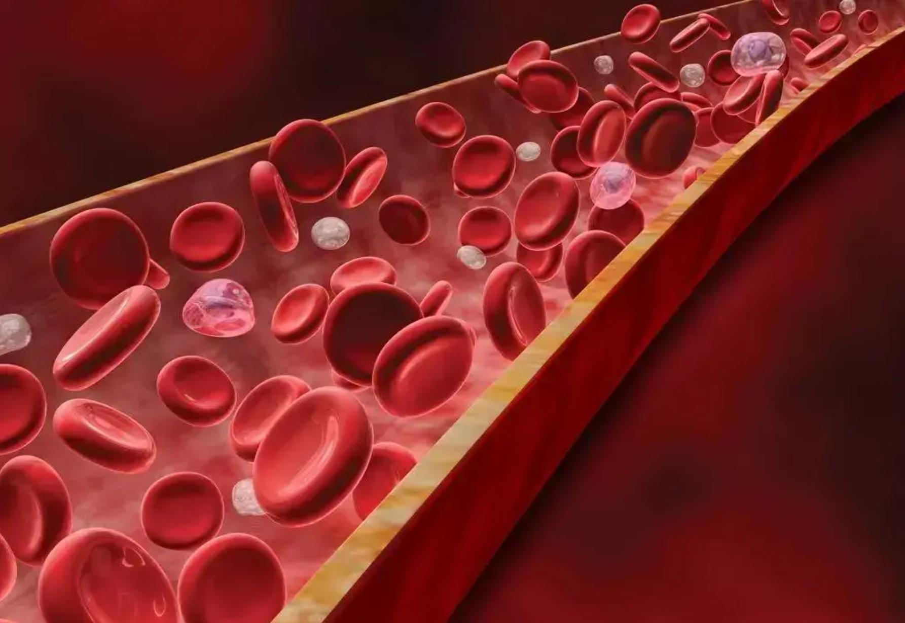  10909米深海之底的科学警示：塑料微粒污染的完整链条与应对路径 新闻