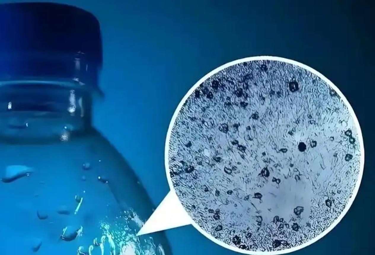  10909米深海之底的科学警示：塑料微粒污染的完整链条与应对路径 新闻