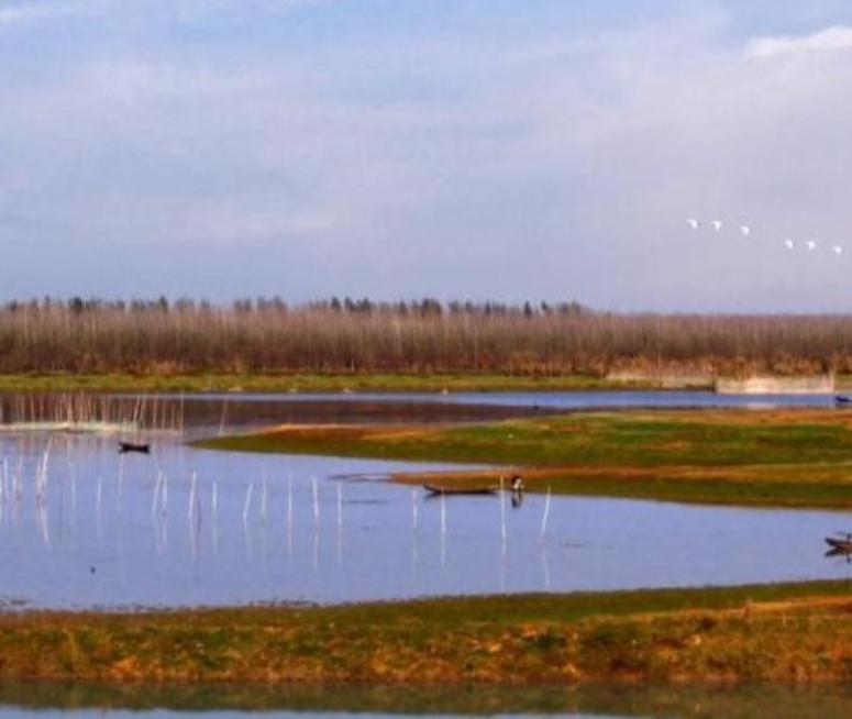  从秦城到西洞庭：一位知识分子的五年农场生存实录 文化旅游