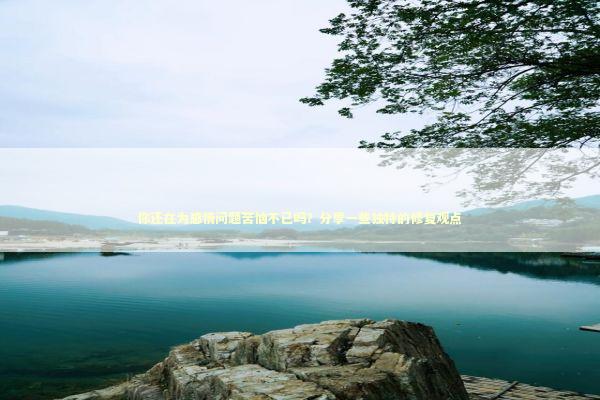 你还在为感情问题苦恼不已吗？分享一些独特的修复观点