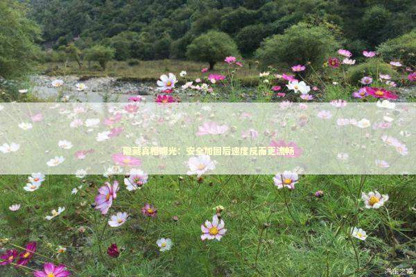 隐藏真相曝光：安全加固后速度反而更流畅 新闻