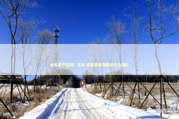 众多用户实践：系统 应用高效获取的方法揭示 新闻