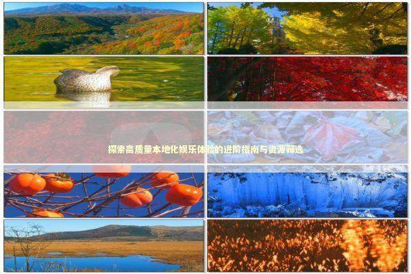 探索高质量本地化娱乐体验的进阶指南与资源筛选 游戏攻略