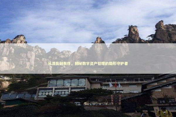 从混乱到有序，揭秘数字资产管理的隐形守护者 IT技术