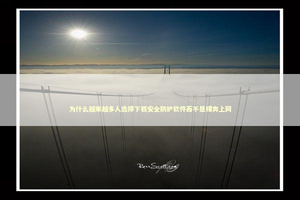 为什么越来越多人选择下载安全防护软件而不是裸奔上网 IT技术