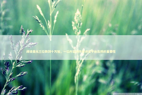 阅读量从三位数到十万加，一位内容创作者讲述平台选择的重要性 新闻