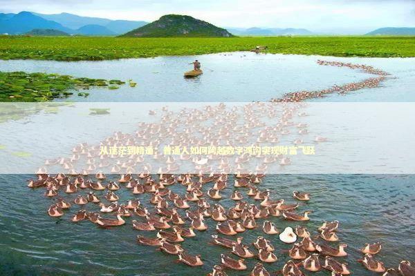 从迷茫到精通：普通人如何跨越数字鸿沟实现财富飞跃 股票财经