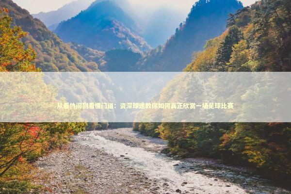 从看热闹到看懂门道：资深球迷教你如何真正欣赏一场足球比赛 体育新闻