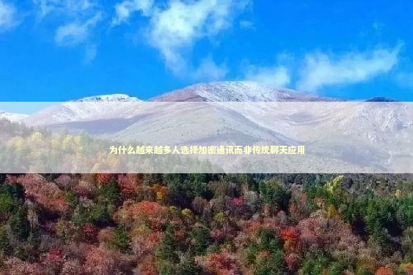 为什么越来越多人选择加密通讯而非传统聊天应用 IT技术